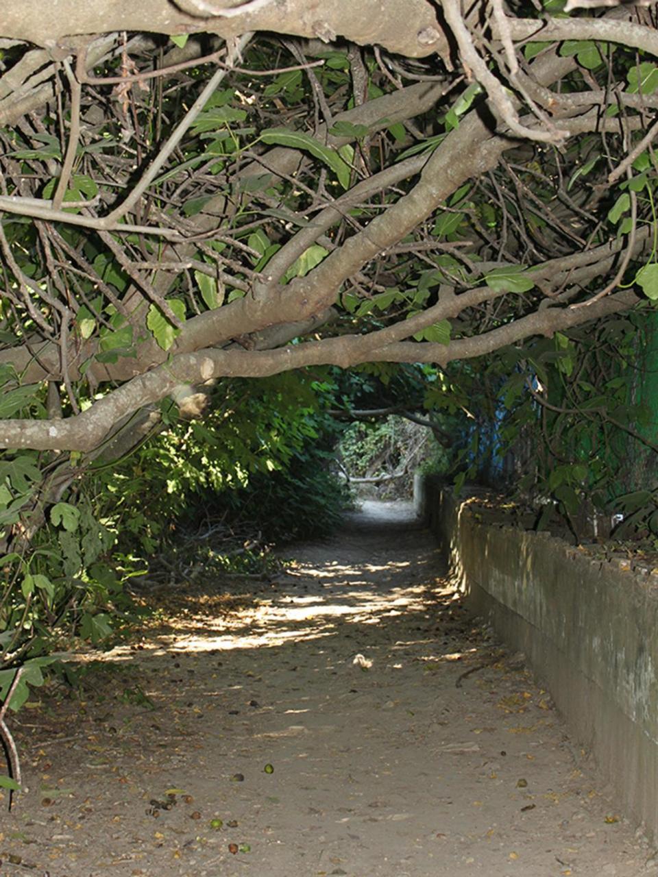 Apartamentos Casa Gil El Bosque Eksteriør billede
